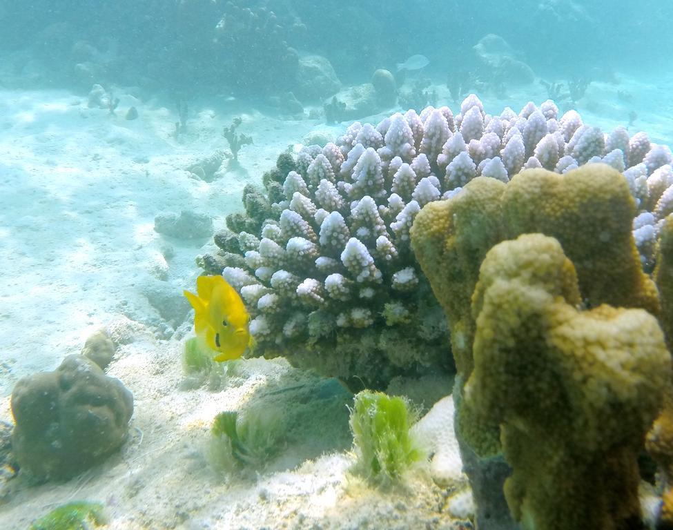 瑟夫岛度假村 Round Island 外观 照片